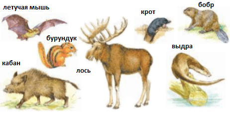 Решение рисунок 1