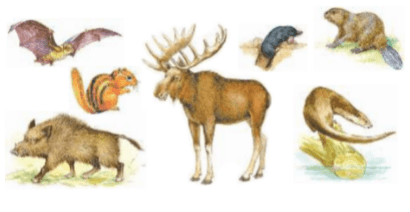 Задание рисунок 1