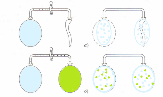 Два одинаковых резиновых шарика соединены прозрачным шлангом. Задачи на поверхностное натяжение. 2 одинаковых резиновых шарика соединены прозрачным шлангом. Два одинаковых резиновых шарика соединены прозрачным шлангом. 2 шара маленький и большой.