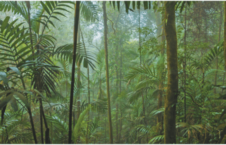 Задание рисунок 1