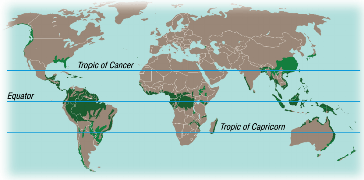 Задание рисунок 1