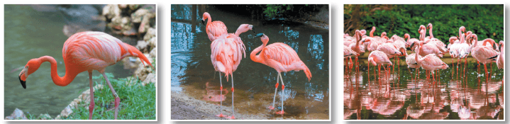 Задание рисунок 1