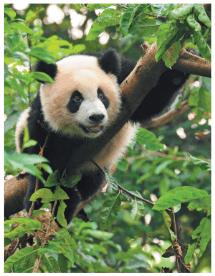 Задание рисунок 1