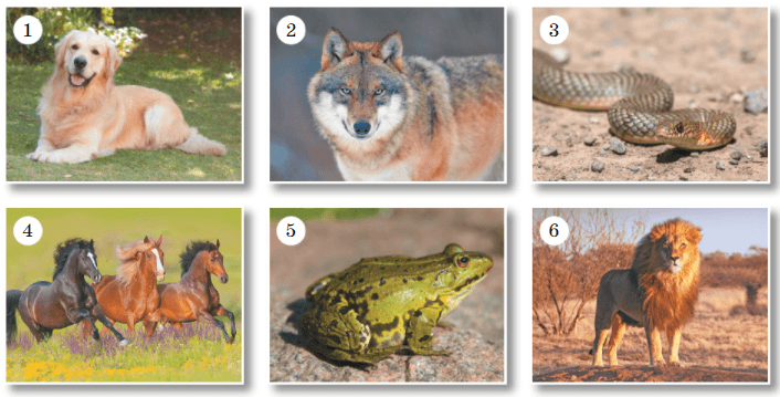 Задание рисунок 8