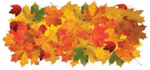 Задание рисунок 1