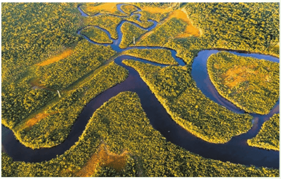 Задание рисунок 2