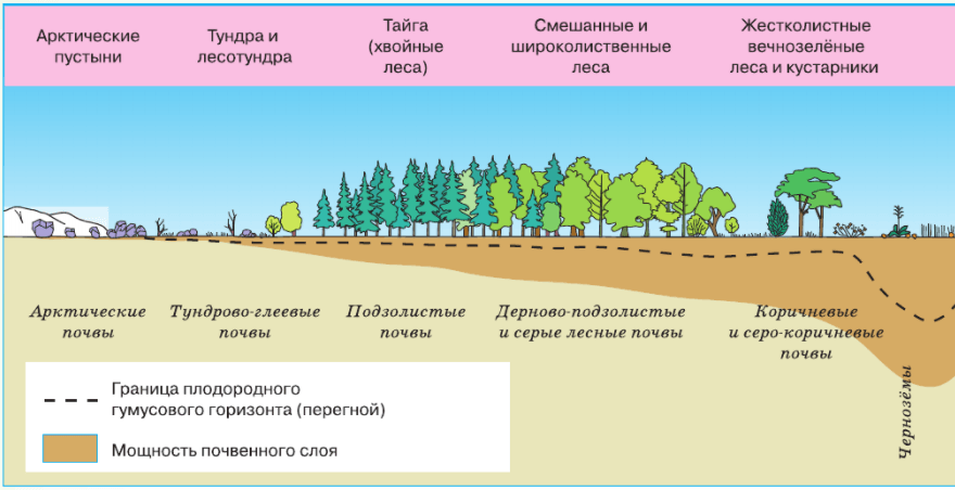 Задание рисунок 1
