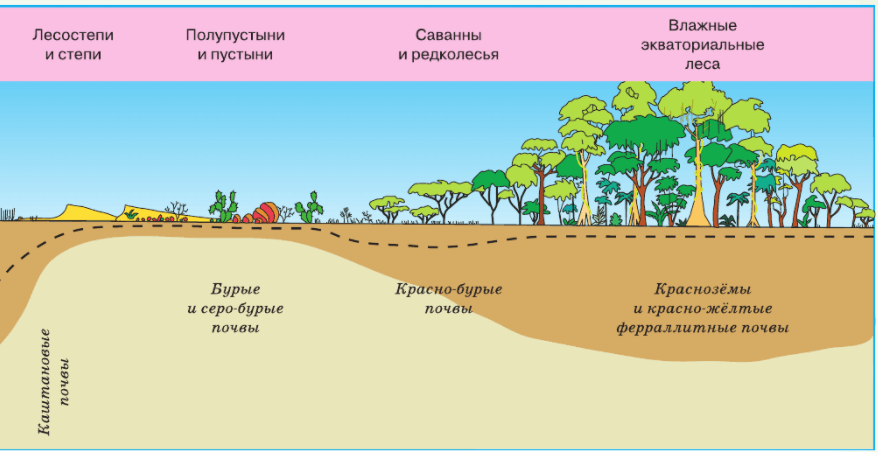 Задание рисунок 2
