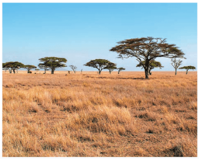 Задание рисунок 2