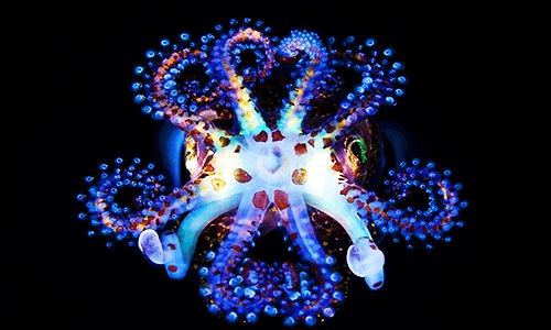 Решение рисунок 2