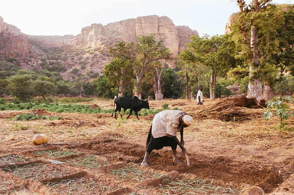 Решение рисунок 3