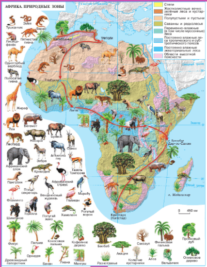 Задание рисунок 1