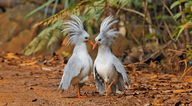 Решение рисунок 1