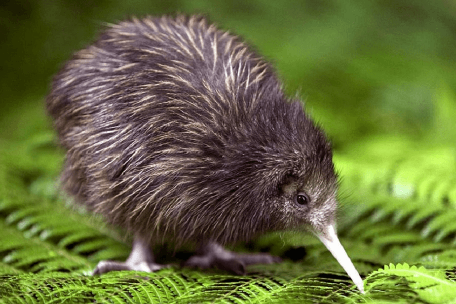 Решение рисунок 2