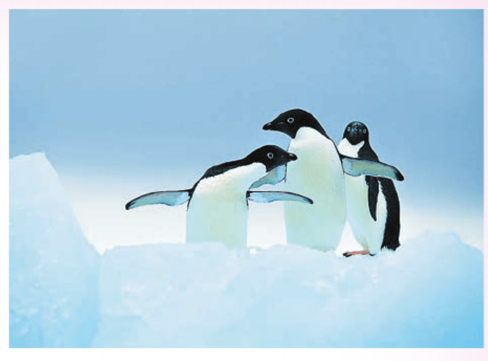 Задание рисунок 1