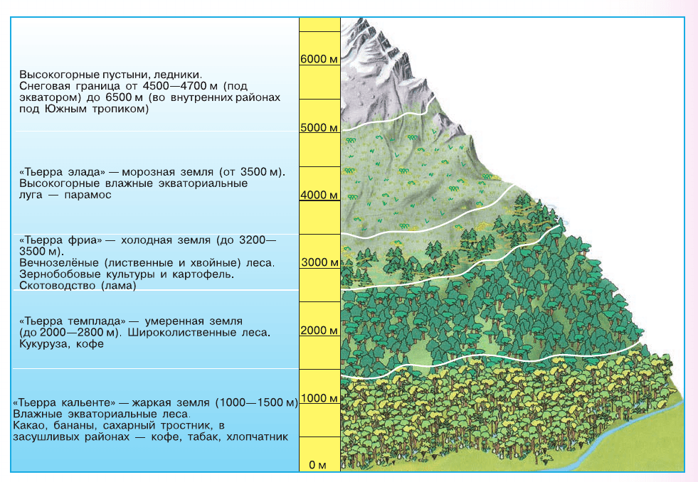 Задание рисунок 1