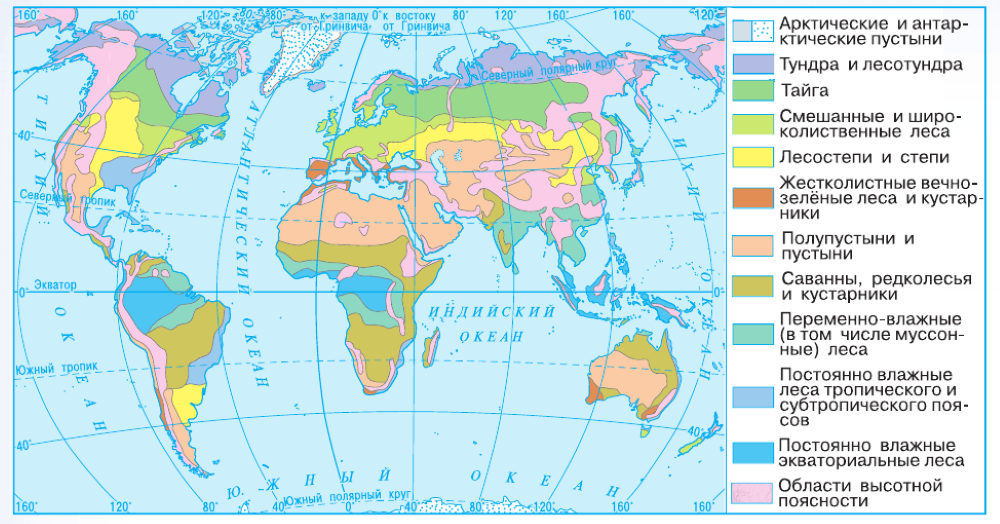 Задание рисунок 2