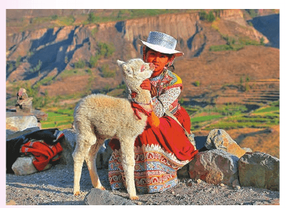 Задание рисунок 1