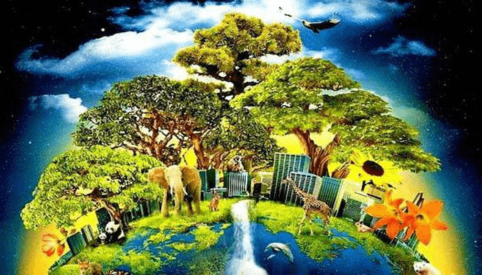 Решение рисунок 4