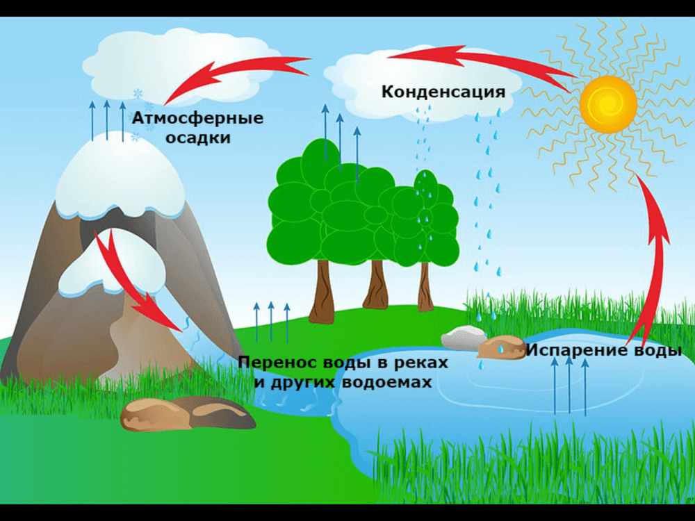 Решение рисунок 1