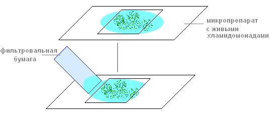 Решение рисунок 1