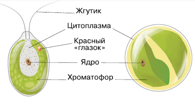 Решение рисунок 2