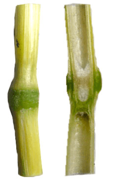 Решение рисунок 2