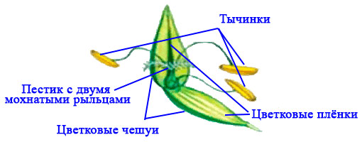 Решение рисунок 5