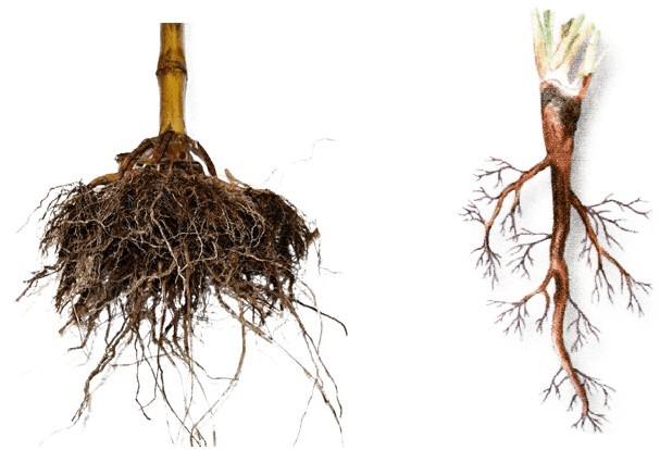 Решение рисунок 1