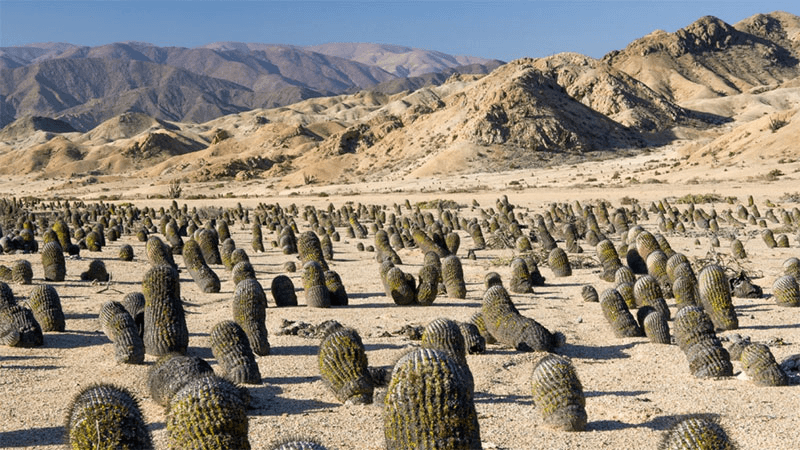 Решение рисунок 1