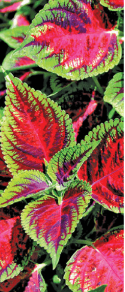 Решение рисунок 1