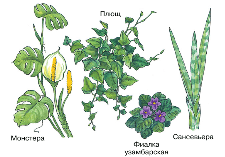 Решение рисунок 2