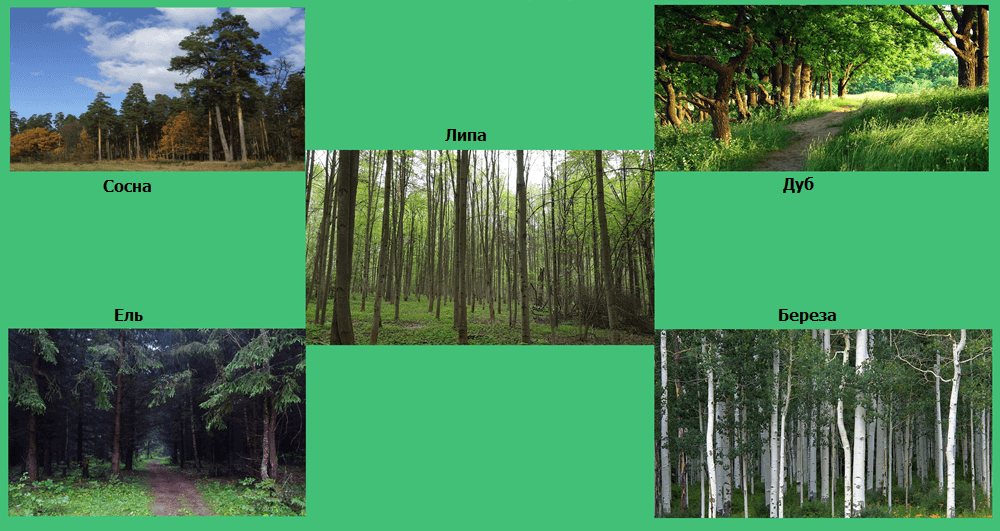 Решение рисунок 2