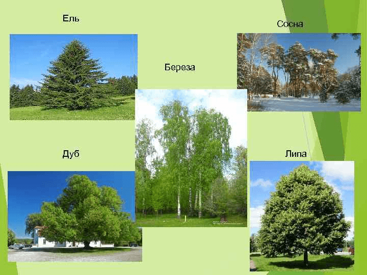 Решение рисунок 1