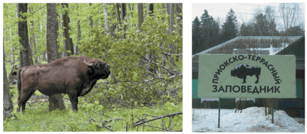 Решение рисунок 1