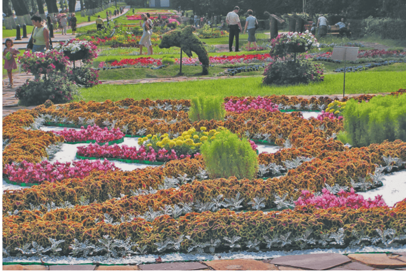 Решение рисунок 1