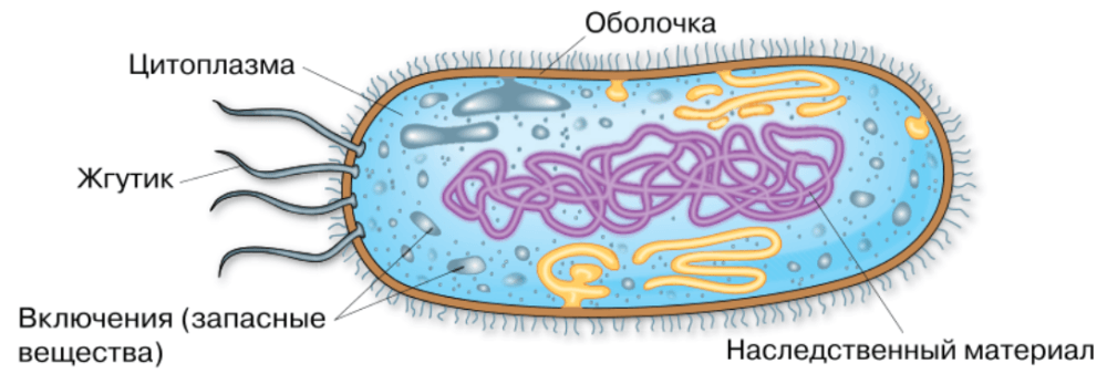 Решение рисунок 1