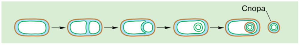 Решение рисунок 1