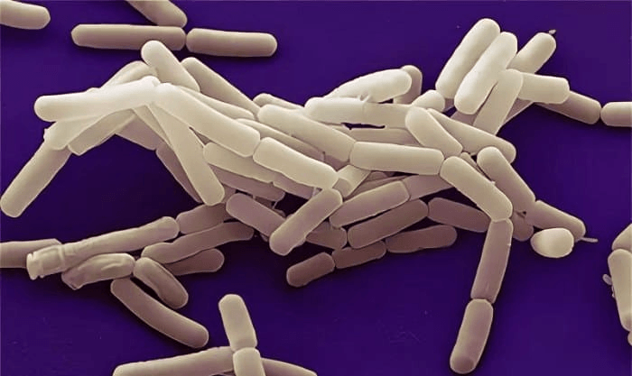 Решение рисунок 1