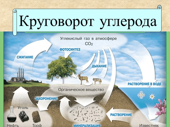 Решение рисунок 2