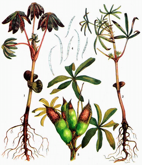 Решение рисунок 3