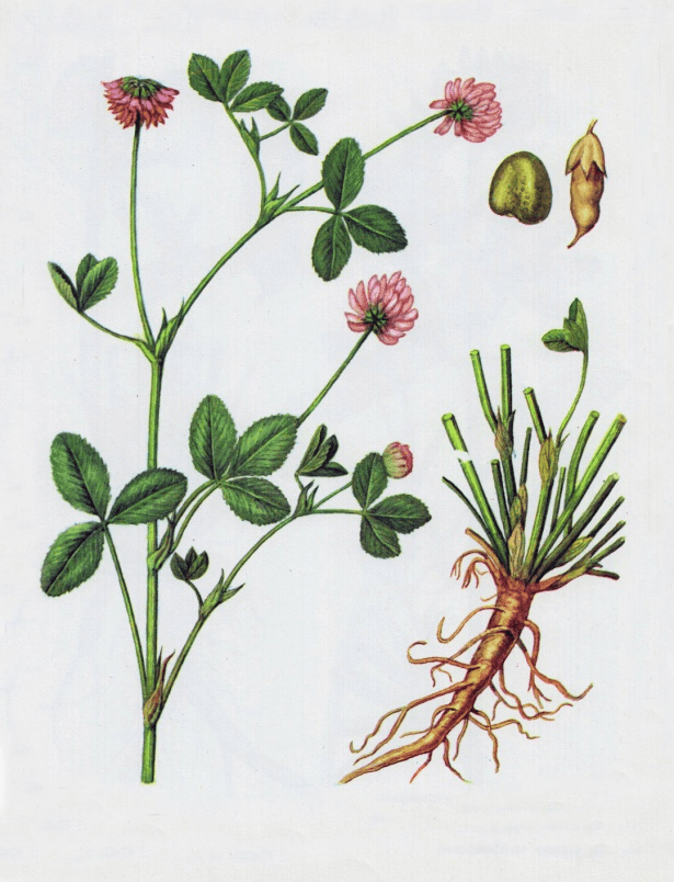 Решение рисунок 2