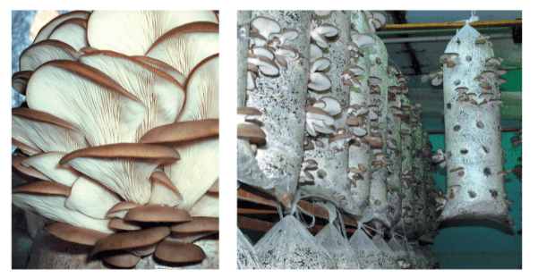 Решение рисунок 2