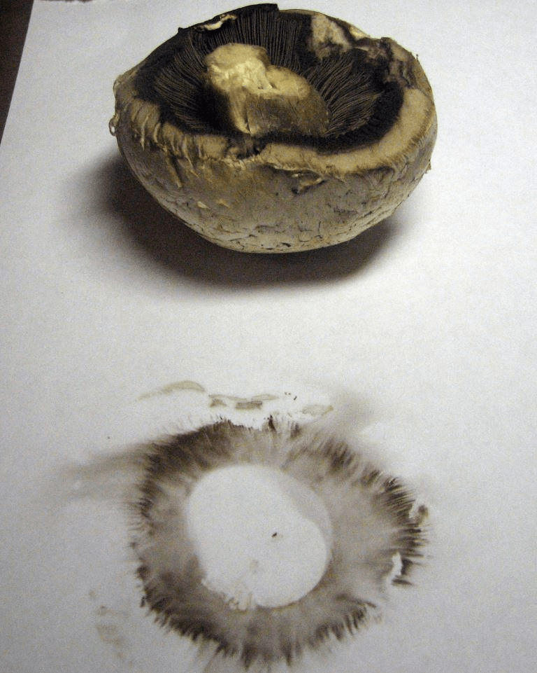 Решение рисунок 1