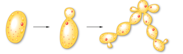Задание рисунок 1
