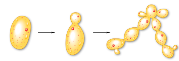 Решение рисунок 1