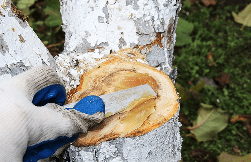 Решение рисунок 1