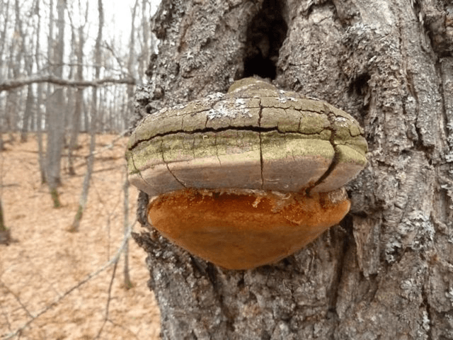 Решение рисунок 2