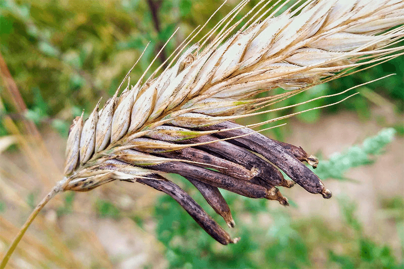 Решение рисунок 3