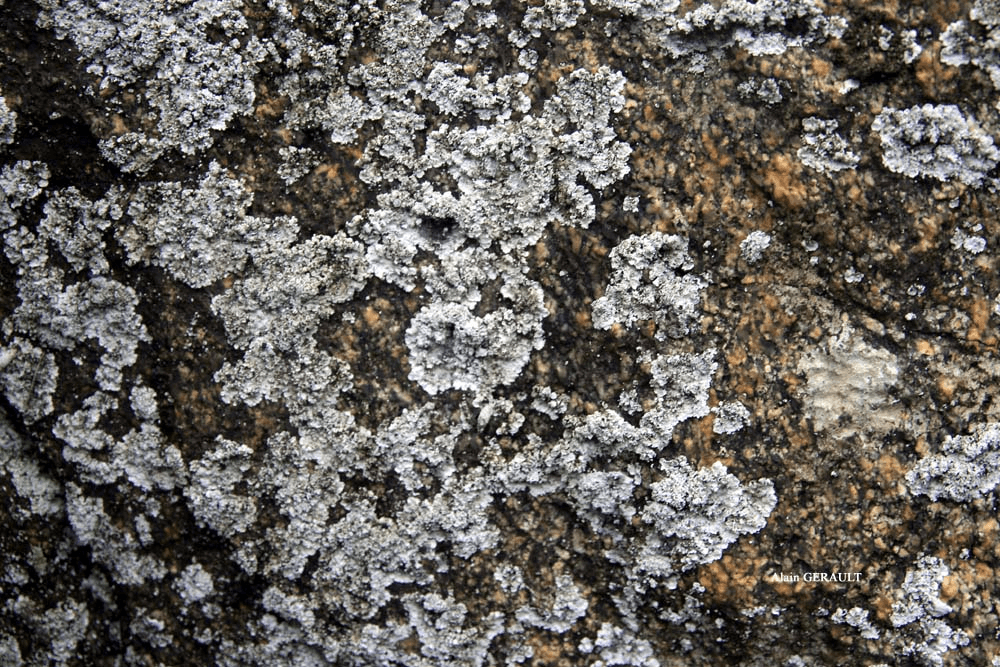 Решение рисунок 1